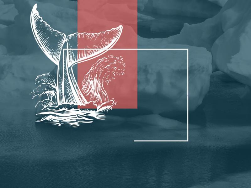 grafik med en hvalhale, der stikker op over havoverfladen